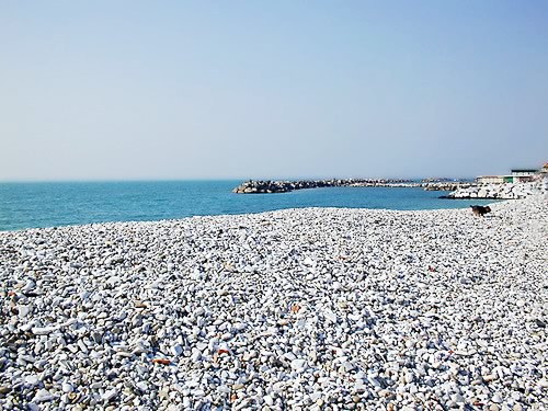 Marina di Pisa mare spiagge